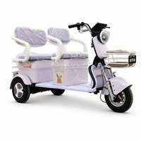 Tricycle électrique à 3 roues pour adultes, E-Trike 2 places avec panier avant et rangement pour les trajets familiaux