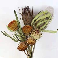 AX-35 Fleurs séchées décoratives en gros, mini arrangements de fleurs Banksia et Protea - Fête des Mères, Noël, Remise de diplôme