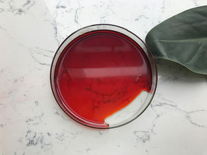 Extracto de pimienta con sabor a comida, <span class=keywords><strong>40</strong></span> oleoresina, <span class=keywords><strong>Capsicum</strong></span> - Product Image 5