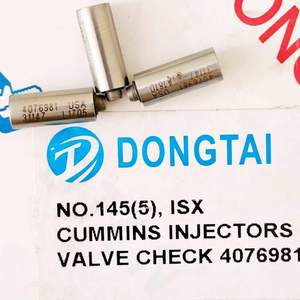 Válvula de Retención para <span class=keywords><strong>Inyectores</strong></span> Cummins Isx No. 145(5) 4076981 - Product Image 4