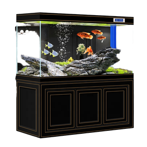 Tanque de peces Sala de estar Hogar Vidrio superclaro Filtro inferior de acuario mediano y grande Dragón ecológico Tanque de peces Oficina - Product Image 1