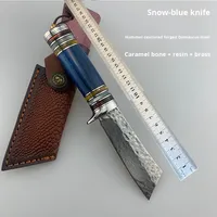 Petit couteau droit fait à la main en acier damas motif acier extérieur sauvage survie couteau de chasse couteau forgé martelé