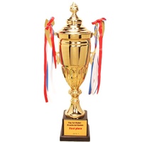 Trophée personnalisé en alliage de zinc gravé, durable, pour compétitions sportives, récompense de championnat de football, personnalisé pour les vainqueurs et les joueurs