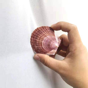 Assiette <span class=keywords><strong>en</strong></span> coquilles de cuisson, de qualité pour Restaurant, art nautique, grand plat pour barbecue, résistant aux hautes températures, g - Product Image 6