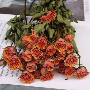 Fleurs de rose rouge séchées naturelles pour la décoration de mariage familial, décoration de fête, illustration de fleurs séchées, roses séchées - Product Image 4