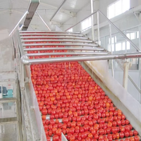 Ligne de traitement des tomates Machine de fabrication de pâte de tomate Ligne de production de pâte de tomate
