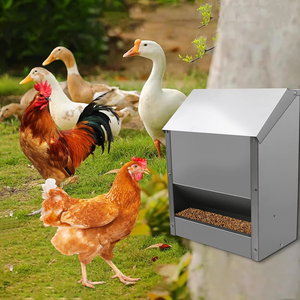 Custom Stainless Steel Chicken Feeder Hanging Automatic Poultry Chicken Coop Feeder <strong>Metal</strong> Poultry Feeding <strong>Trough</strong> - Product Image 5