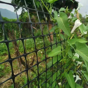 De plástico de PP de red para/cría/jaula de pesca - Product Image 1
