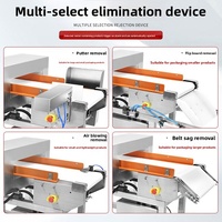 Détecteur de métaux de haute précision ODIN pour aliments, avec moteur, pour inspection préfabriquée des légumes, viandes, œufs et or, avec convoyeur, garantie 1 an
