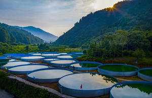 Réservoirs durables en PVC FRP et tôle galvanisée Cage à poissons d'étang à poissons en plastique pour l'élevage de poissons Tilapia Équipement d'aquaculture - Product Image 3