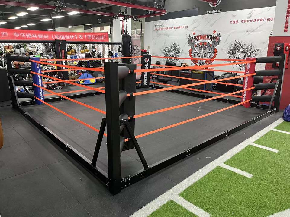 Professional Collapsible Boxing Ring 5m x 5m - Portable Training ...