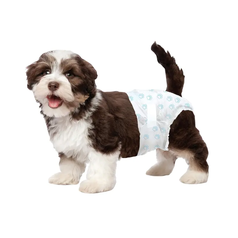 OEM kain non-tenun lembut celana fisiologis hewan peliharaan popok anjing sekali pakai untuk pakaian dalam keamanan Hewan Peliharaan