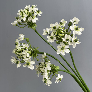 Flores Artificiales Bethlehem Star, Decoración para el <span class=keywords><strong>Hogar</strong></span>, Accesorios <span class=keywords><strong>de</strong></span> Fotografía, Artículos <span class=keywords><strong>de</strong></span> Decoración, Arreglos Florales para Bodas - Product Image 2