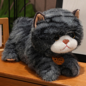 Mô hình mèo loạt nhồi bông Đồ chơi nhồi bông món quà sinh nhật bán buôn - Product Image 4