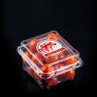 Scatola in Plastica Trasparente di Alta Qualità per Frutta, Confezione per Negozio di Frutta, Scatola Blu per Fragole