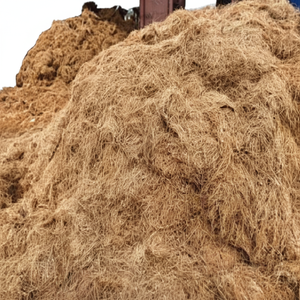 Fibre de noix de coco naturelle de haute qualité pour matelas brosses cordes tapis de culture paillis fibre de coco vente en gros de l'Inde - Product Image 1