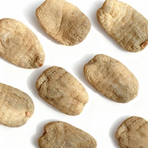 Jilin de qualité supérieure authentique frais Gastrodia Elata rhizomes séchés disponibles pour la vente en gros - Product Image 2