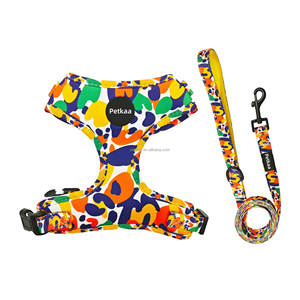 2025 productos para mascotas, los más vendidos, accesorios personalizados para caminar para perros, conjunto de <span class=keywords><strong>collar</strong></span> y correa de arnés para perros personalizados para suministros para mascotas - Product Image 6