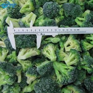 Vente chaude Premium Brocoli Biologique BRC Certifié Frais Congelé avec IQF Légumes Cultivés Blanchis Halal Certifié - Product Image 4