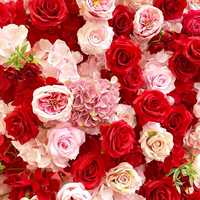 Décoration murale en fleurs artificielles de roses roses en soie, faites à la main, réalistes et modernes, pour mariages, Noël et la rentrée scolaire (vente en gros)