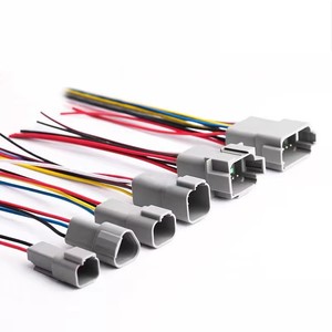 Wavelink personnalisé Deutsch DT 2-12Pin automobile étanche fil électrique Pigtails 16-12AWG CE RoHS pour faisceau de câblage - Product Image 4