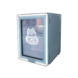 <span class=keywords><strong>Retro</strong></span> Minikoelkast Draagbare Portaal Koelbox Voor Één Temperatuur - Product Image 2