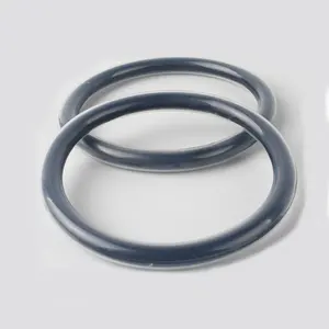 Multifunctionele Materiaal-Size-Kleur Custom Dichtheidsbeproevingen Ptfe O-Ring