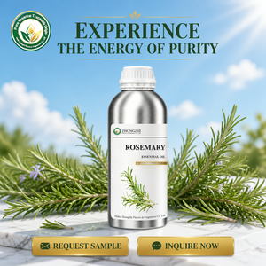 Agent purifiant naturel <span class=keywords><strong>Huile</strong></span> <span class=keywords><strong>essentielle</strong></span> de romarin (Rosmarinus Officinalis) pour des vêtements frais et un nettoyage domestique sûr - Product Image 6