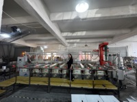 Ligne d'anodisation et d'électrodéposition pour l'aluminium et l'acier inoxydable