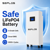 Batterie LiFePO4 Seplos Mason 51.2V 314Ah 16kWh pour stockage d'énergie domestique, stock UE, entrepôt Allemagne Pologne, livraison rapide, BMS 200A