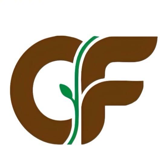 Hangzhou Cifa TechnoLogy Co., Ltd. logo
