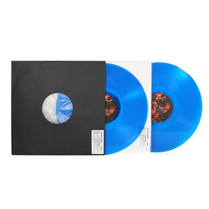 Disques vinyles de haute qualité 7 10 12 pouces pressage personnalisé musique disque <span class=keywords><strong>vinyle</strong></span> vierge - Product Image 6