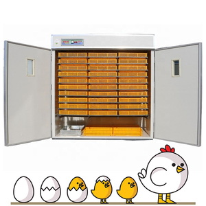 Máy Ấp Trứng/Máy Ấp Trứng Năng Lượng Mặt Trời Máy Ấp Trứng/Máy Ấp Trứng Nepal Để Bán - Product Image 4