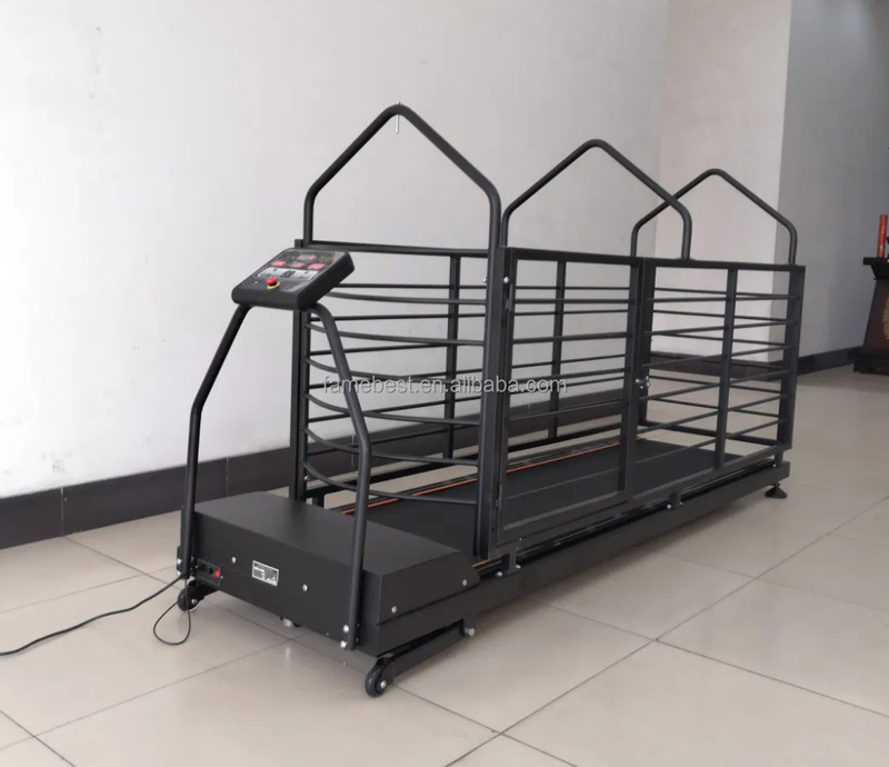 LED Display Screen Dog Treadmill with