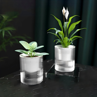 Pot de plante auto-arrosant en plastique transparent, pot de fleurs hydroponique, pot de fleurs à absorption automatique d'eau pour l'intérieur, décoration de bonsaï pour la maison