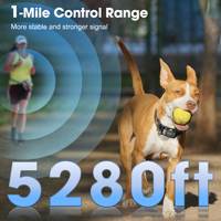 2024 Neuestes TPU Wasserdichtes Wiederaufladbares Elektronisches Anti-Bell-Halsband mit Schock- und Vibrationsfunktion Ferngesteuertes Hundetraining