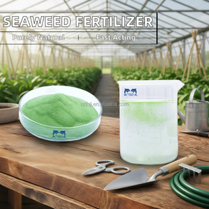 Extracto de Algas Marinas Orgánicas Green DF Hiwoss en Escamas, Fertilizante Foliar de Liberación Rápida para Fortalecimiento de Raíces, Expansión de Plántulas y Frutos - Product Image 2
