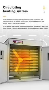 Máy Ấp Trứng Công Nghiệp 5000 Máy Ấp Trứng Gà Cỡ Trung Tự Động Hai Năng Lượng Mặt Trời Bằng Điện Kép - Product Image 6