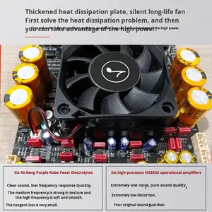 AS21P pour carte d'amplificateur numérique 2.1 canaux 300W*2+600W Subwoofer TPA3255 Puce importée Fabriqué en Chine - Product Image 4