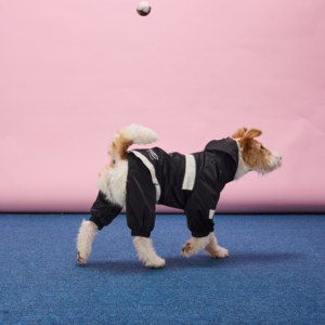 Impermeable de Lujo para Perros, Chaqueta Cortavientos Reflectante de Nailon para Chihuahua, Bulldog Francés, Ropa de Invierno - Product Image 2