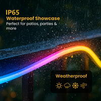 Luxuriöses IP67 PVC LED Neon Flex RGB Musik-Synchronisations-Lichtband mit Regenbogeneffekt, 220V, 50m Rolle für Landschafts- und Architekturbeleuchtung im Außenbereich