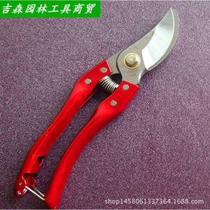 Cisailles de taille Ichiro Yoshikawa 20-30 mm à coupe latérale pour arbres fruitiers, manche en plastique rouge, lame manuelle en acier au carbone - Product Image 2