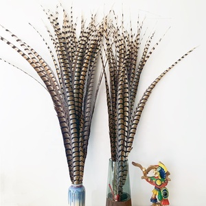 Plumas de faisán Lady Amherst para carnavales - Product Image 1