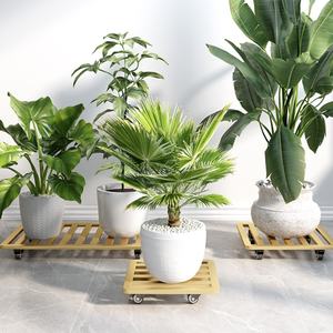 KINNO-Plateau de Pot de Fleurs Mobile <span class=keywords><strong>en</strong></span> Fer Épaissi, Poulie Universelle, Étanche à l'Humidité, Support de Fleurs Extérieur, Meilleur Design - Product Image 2