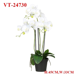 2025 MÁS NUEVO POLIÉSTER ARTIFICIAL PHALAENOPSIS /CYMBIDIUM PLANTA EN POT - Product Image 3