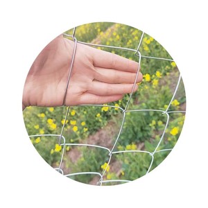 Grillage galvanisé à mailles losangées pour clôture extérieure anti-rouille, idéal pour l'élevage de poulets, canards, chiens, vaches et moutons. - Product Image 1