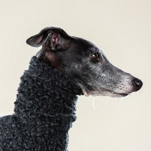 ملابس مصممة للكلاب من متجر Qiqu للحيوانات الأليفة، سترة صوفية صديقة للبيئة بأكمام طويلة للكلاب الإيطالية الرمادية، مناسبة للسنة الصينية الجديدة - Product Image 5