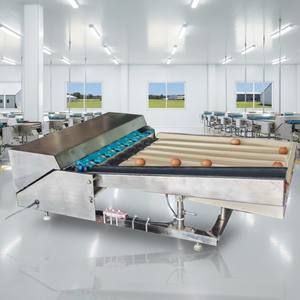 Clasificadora de Huevos Compacta Industrial de Acero Inoxidable, 2000 Huevos por Hora, Tipo Péndulo con Clasificación Automática - Product Image 1