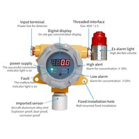 Détecteur de fuite de gaz hydrogène antidéflagrant ATEX CE, construction en acier inoxydable IP, sortie 4-20mA pour gaz combustibles de cuisson