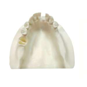 แบบจำลองฝึ<span class=keywords><strong>ก</strong></span>หัดการผ่าตัดฝังรากเทียมทาง<span class=keywords><strong>ก</strong></span>ารแพ<span class=keywords><strong>ท</strong></span>ย์ รุ่น S - อุปกรณ์ฝึกปฏิบัติการฝังรากเทียมจำลอง<span class=keywords><strong>ส</strong></span>ำหรับผู้เชี่ยวชาญด้านทันต<span class=keywords><strong>ก</strong></span>รรม - Product Image 2